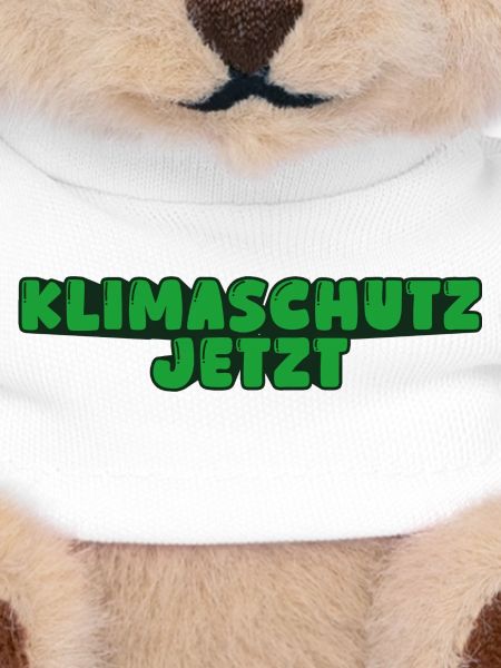 Klimaschutz jetzt