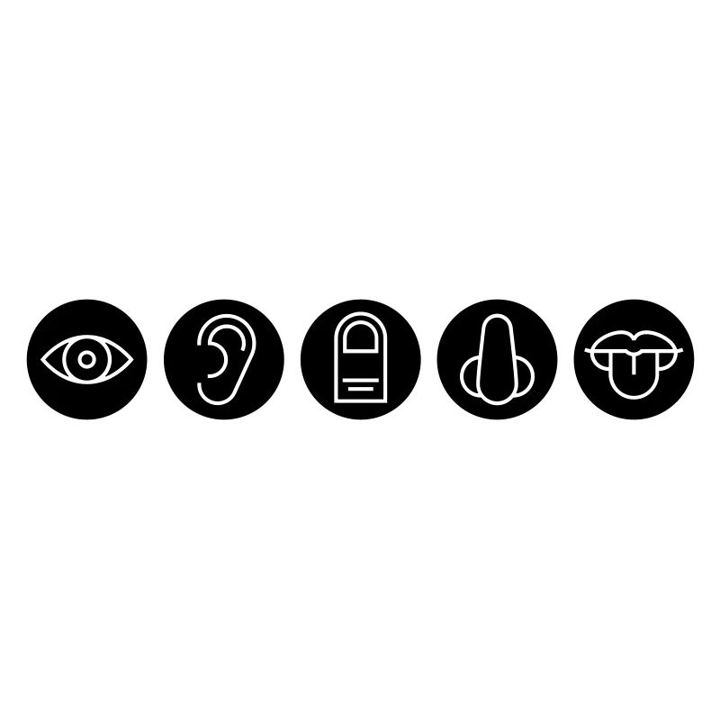 Five senses, sense organs