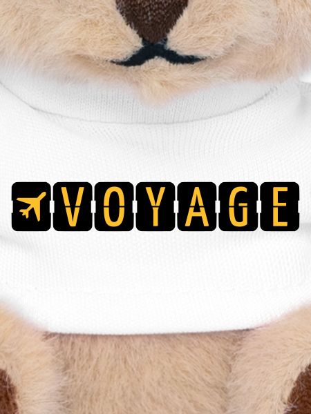 Voyage