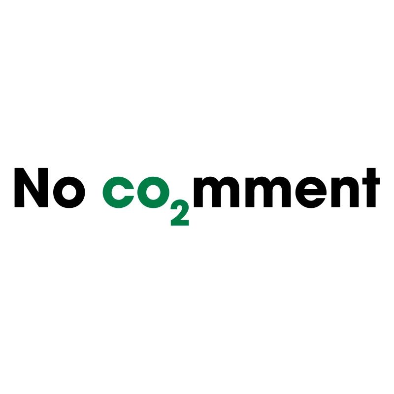 No CO2 Comment – Clean Energy Statement