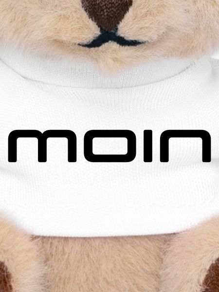MOIN