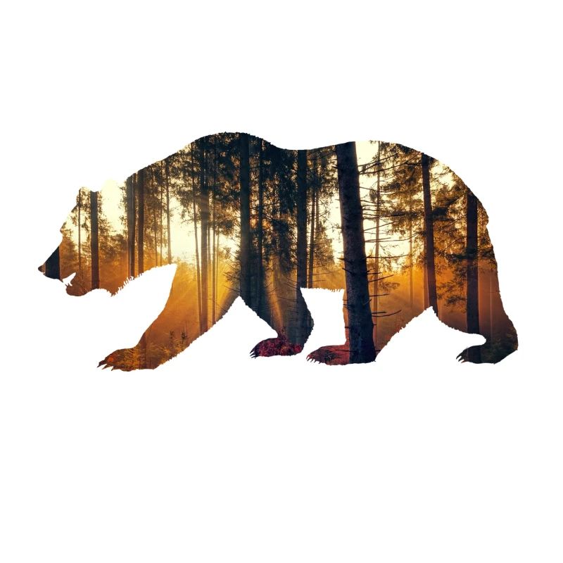 bear