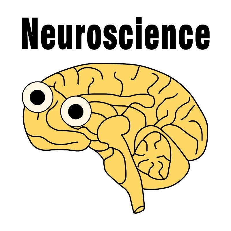 Neuroscience Brain