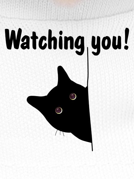 Black cat is watching you!