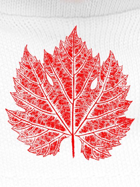 Grape Leaf / Red / Wine Leaf