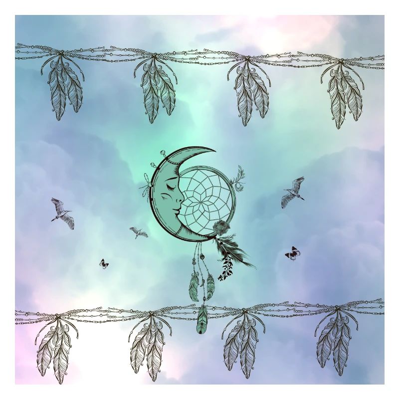 Dream catcher with moon and feathers