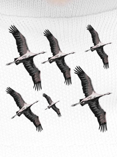 Bird migration cranes