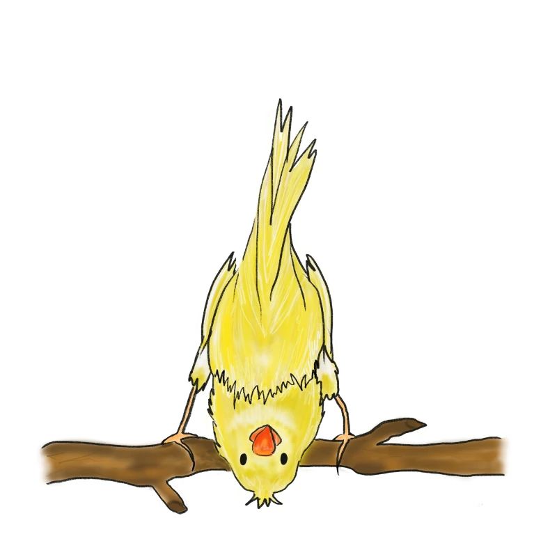 oiseau mignon sur l’illustration de branche
