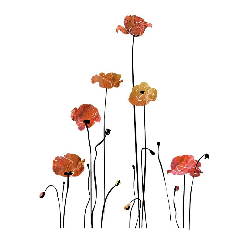 Mohnblume Klatschmohn