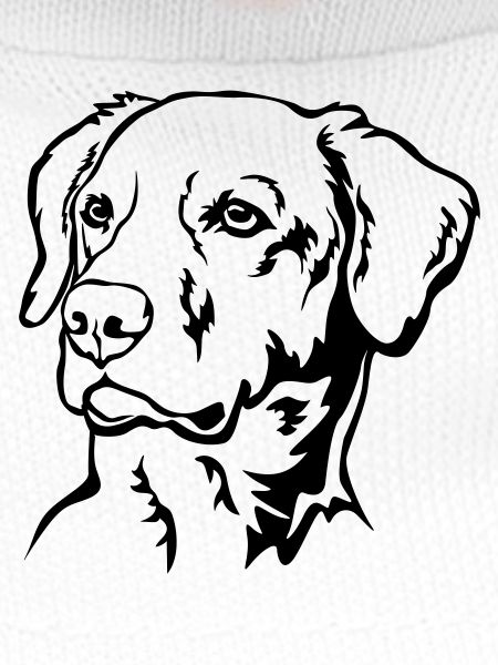 Labrador Head
