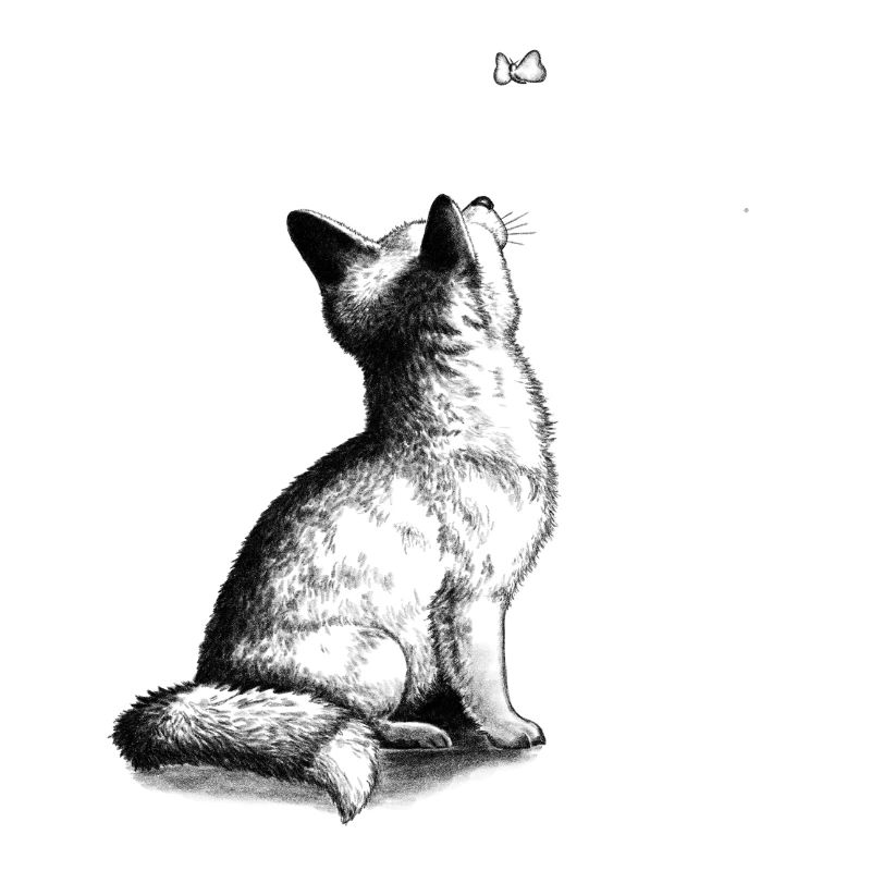 Chiot renard avec papillon