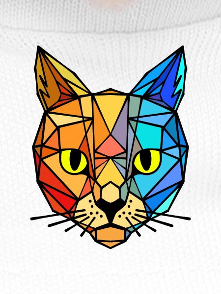 Tigre animal