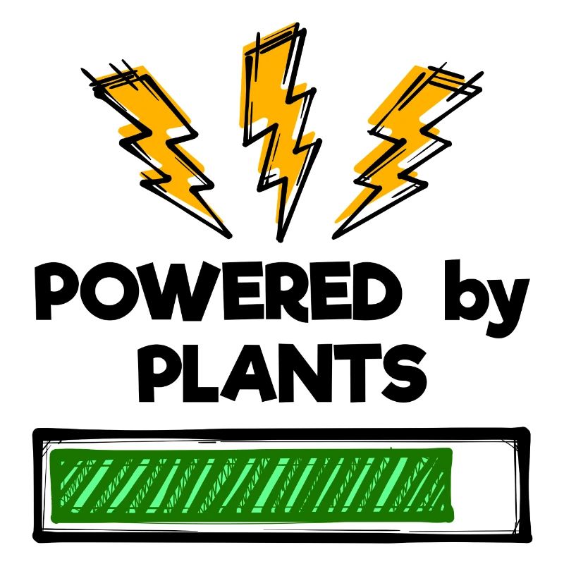 Vegetarier Vegan Statement