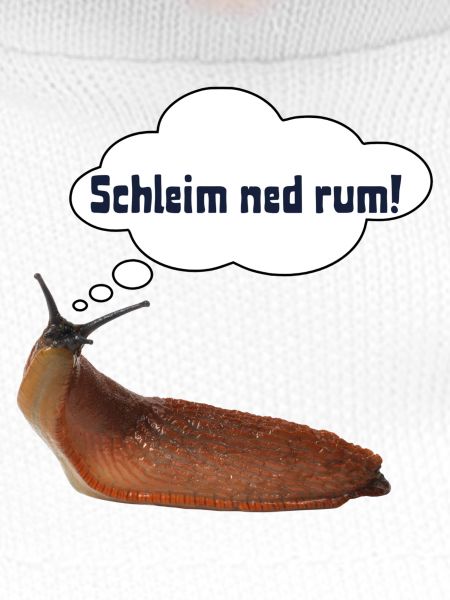 Schleim ned rum ! ART
