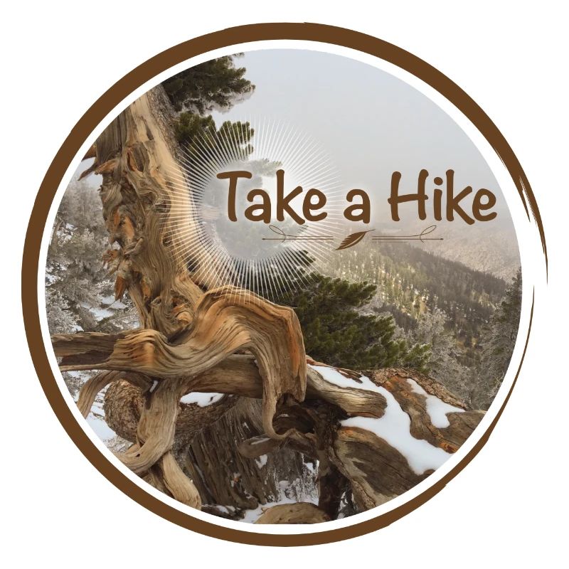 old gnarled tree on the Pacific Crest Trail