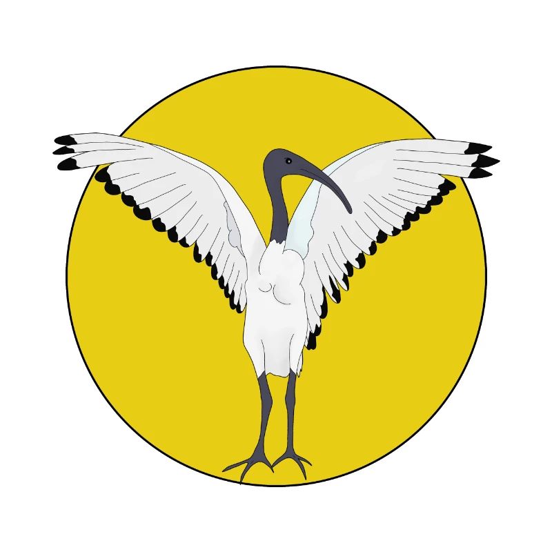 Bin Chicken Bird