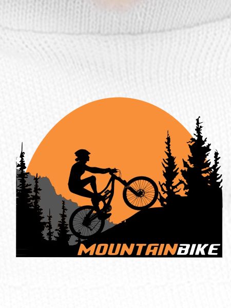 Mountain bike