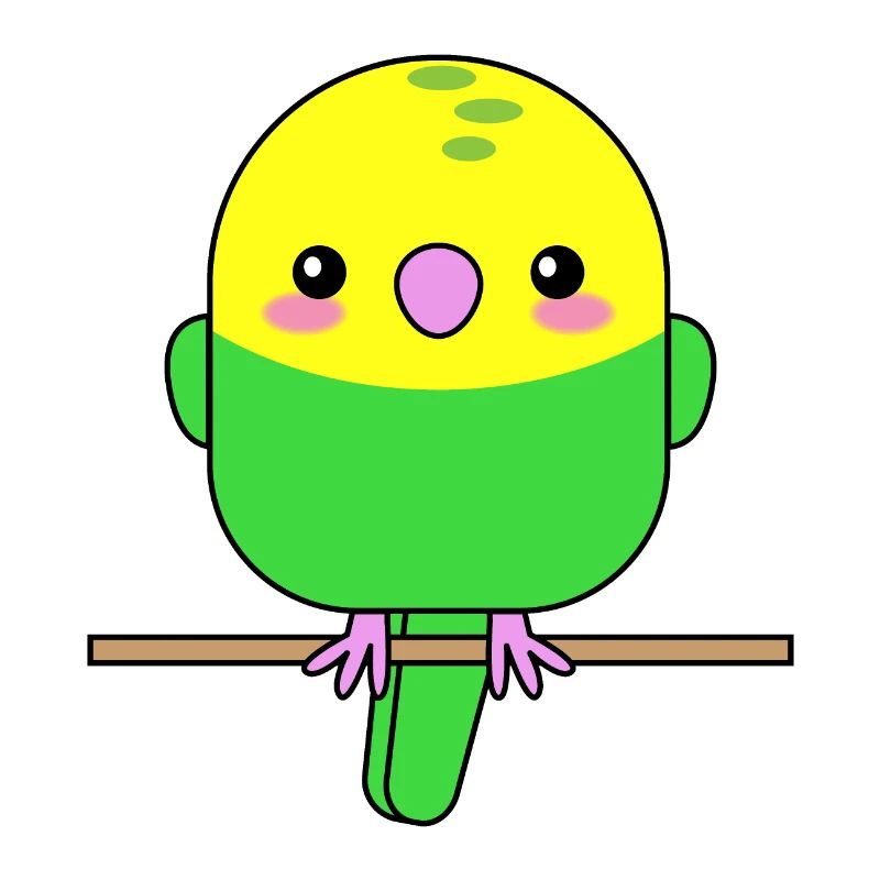 Perroquet Budgerigar