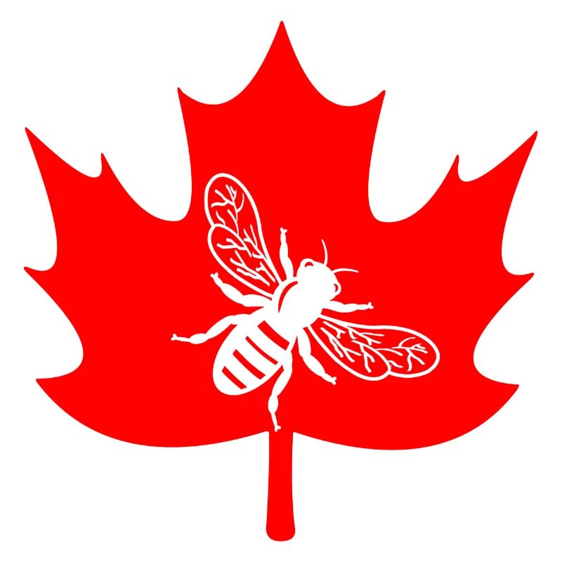 Canada white bee in maple leaf beekeeper logo