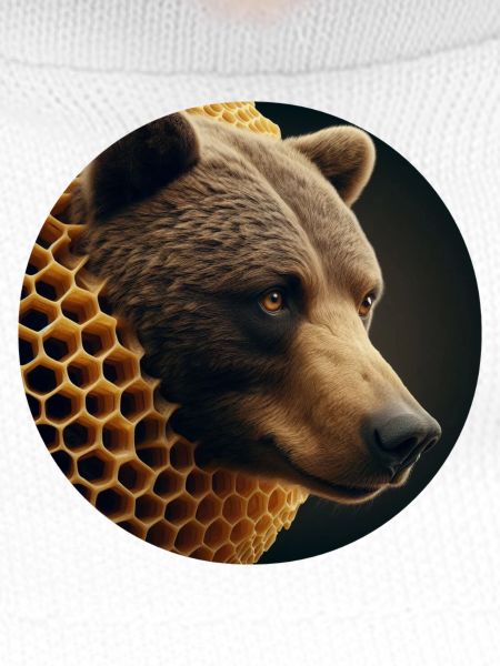 Brown Bear in Bee Honeycomb