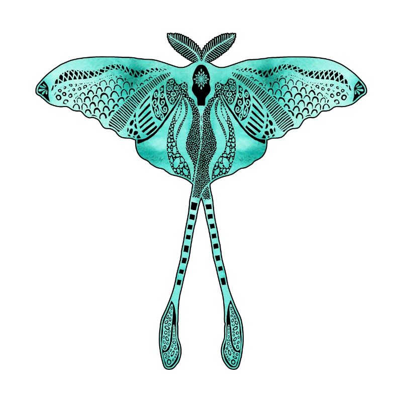 Chinese Moon Moth - Luna Moon Moth