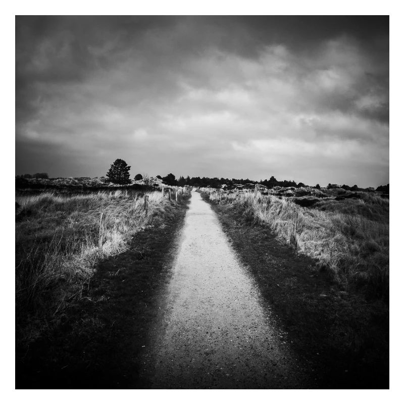 Path Path St. Peter Ording Dunes North Sea Poster