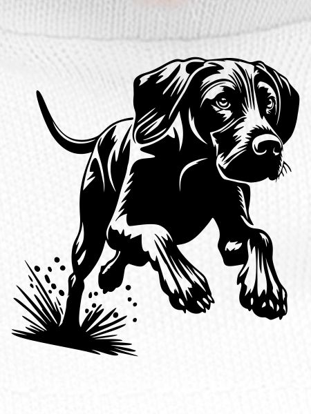 Magyar Vizsla