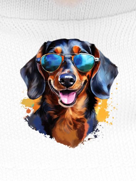 Dachshund with sunglasses