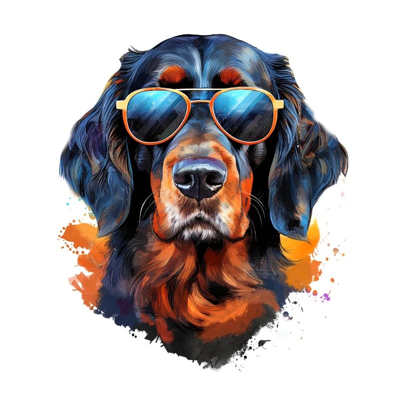 Gordon Setter avec lunettes de soleil