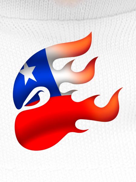 Flagge von Chile - Chile - Ninja