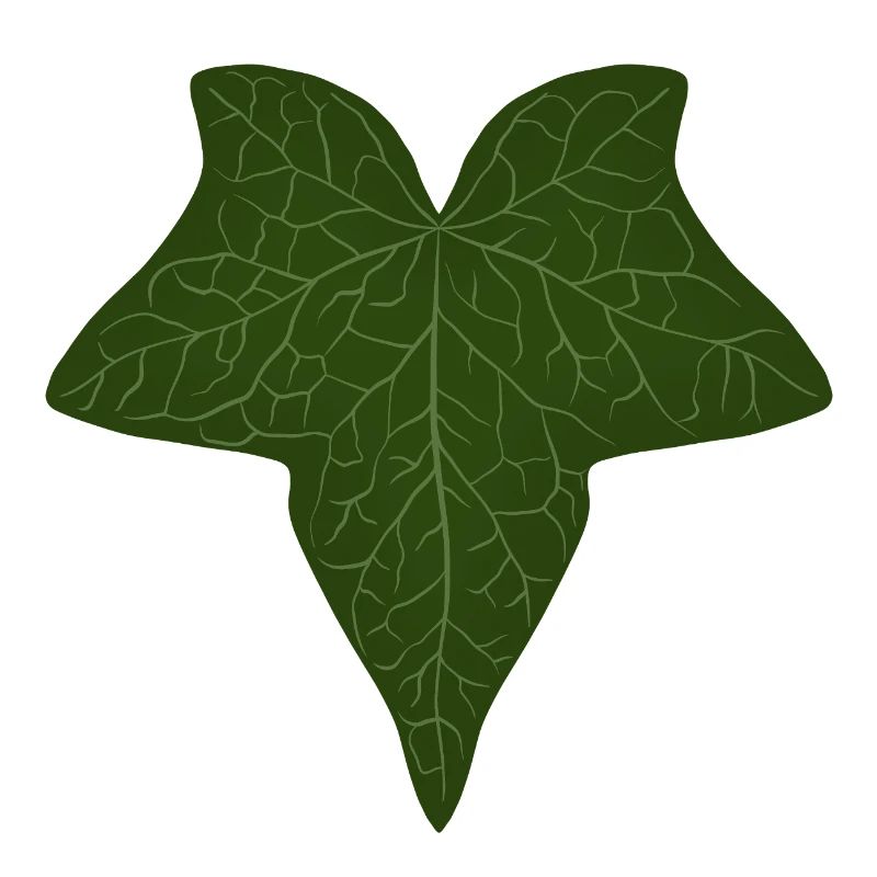 Elegant Green Ivy Leaf Pattern