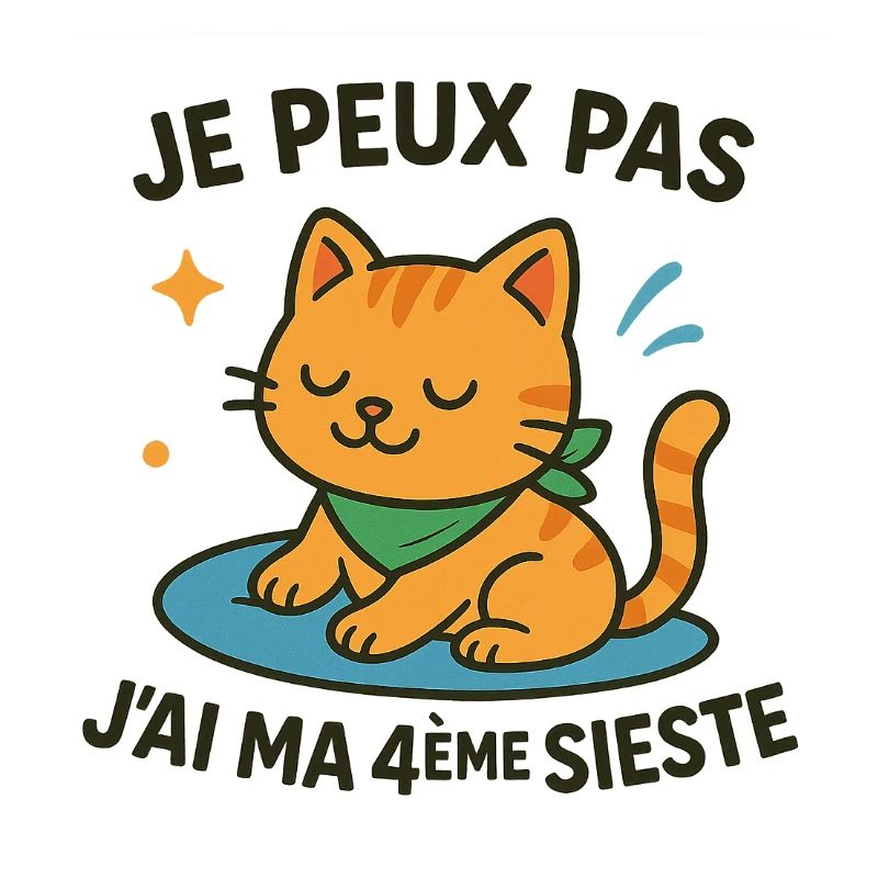 Chat zen en sieste je peux pas