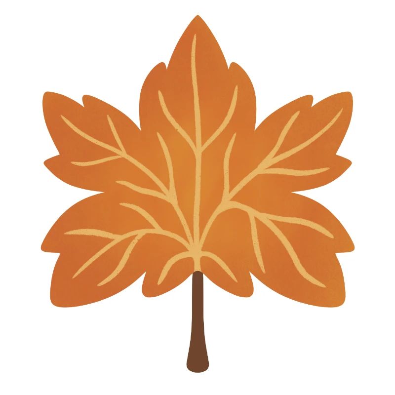 Autumn Maple Leaf Silhouette