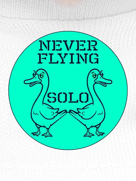 Goose Geese Fyling