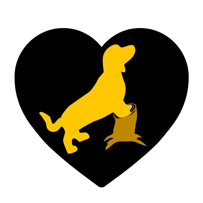 Dachshund