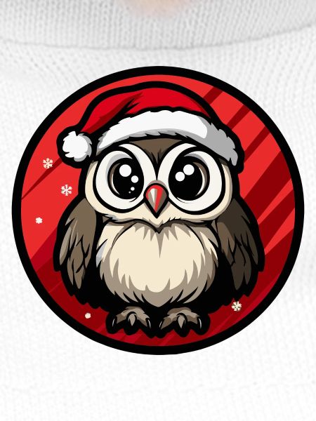Winter Owl in Santa Hat