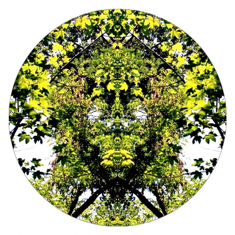 Tree Nature Creature