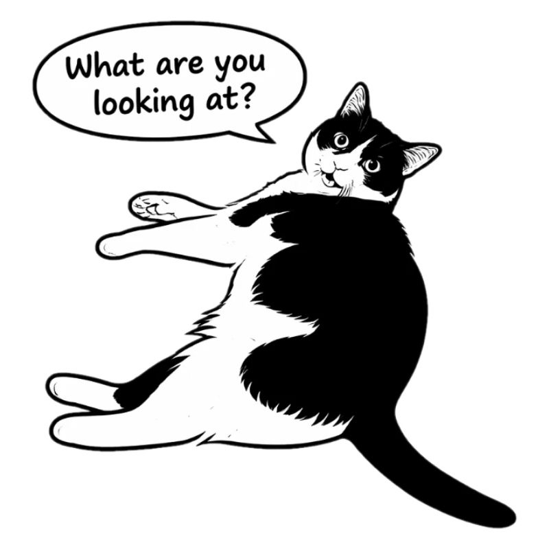 Qu’est-ce que tu regardes ?