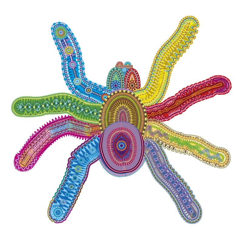 Tiefsee-Spinne