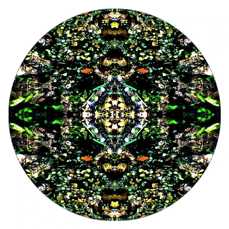 Nature Mandala Pebbles in the River