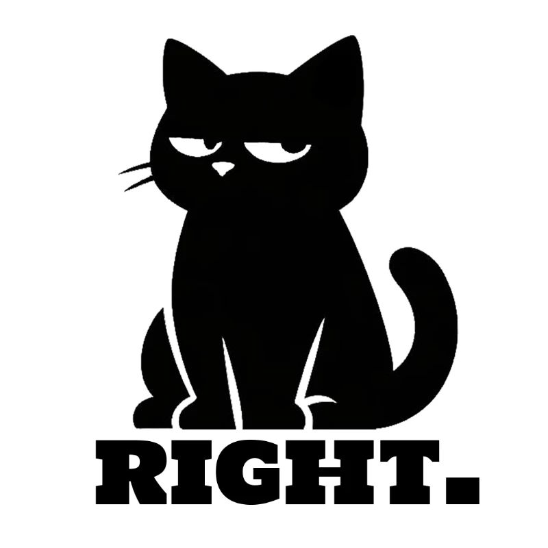 Chat noir sarcastique