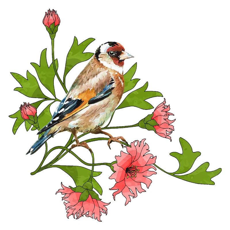 Bunter Vogel