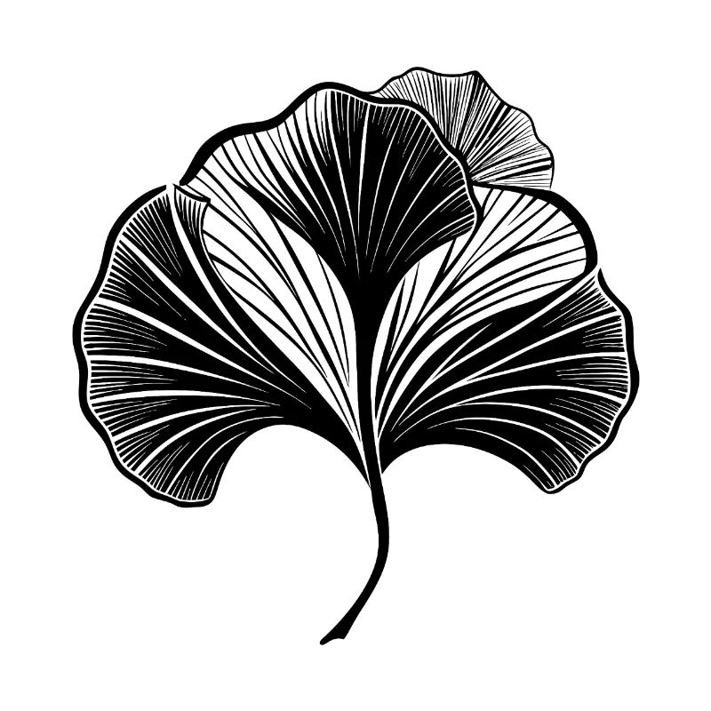 Ginkgo Leaf