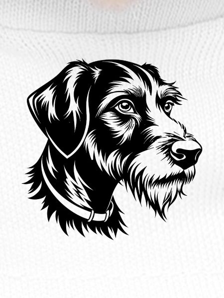 Deutscher Drahthaar-Pointer