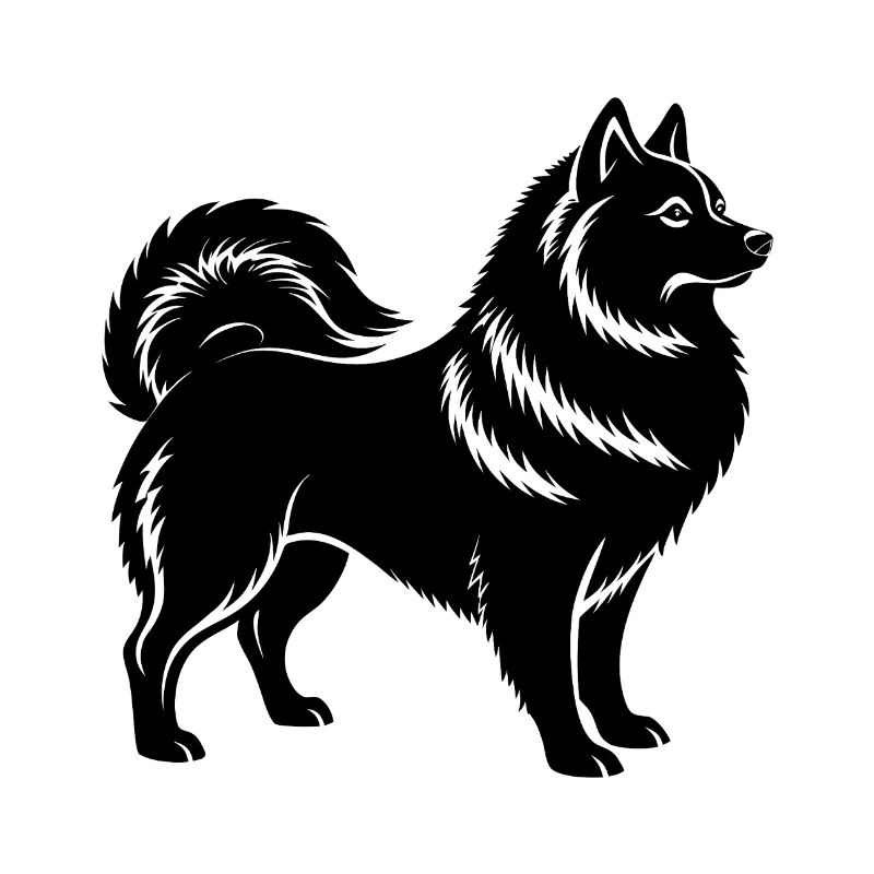 Spitz japonais