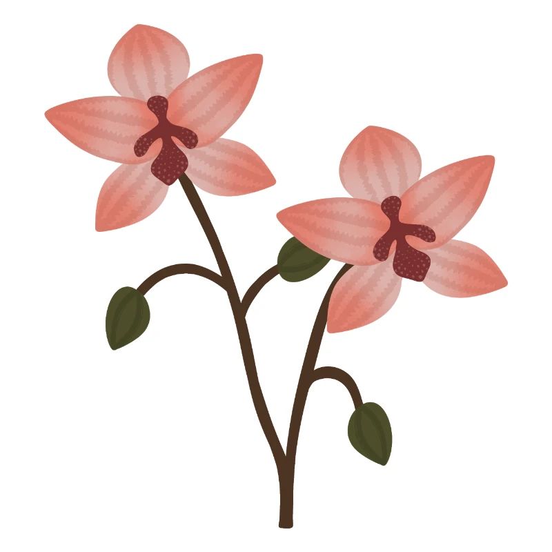 Fleur d’orchidée pastel