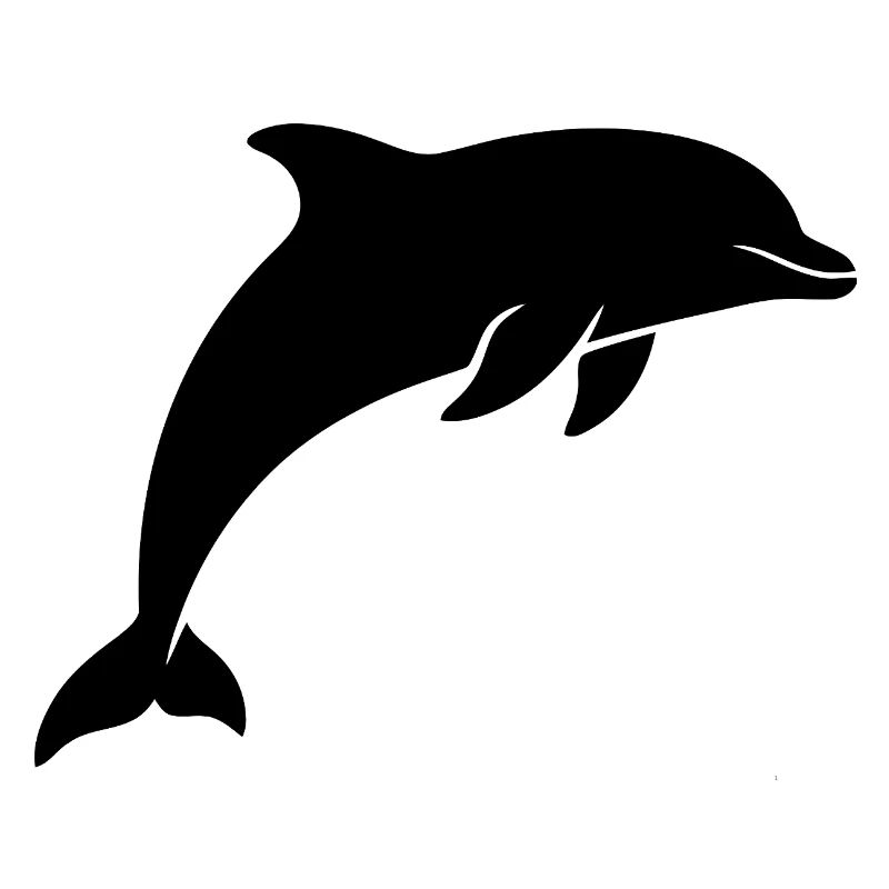 dolphin gift Cute dolphin
