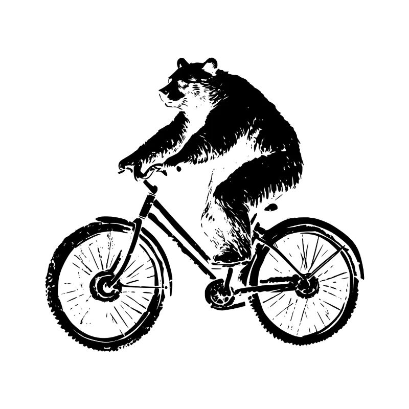 Bicycle Bear