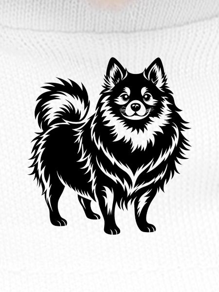 Pomeranian Dog