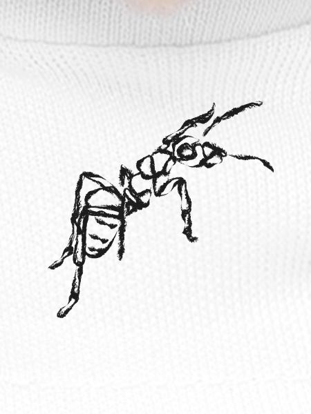 Black Ant – Insect Illustration